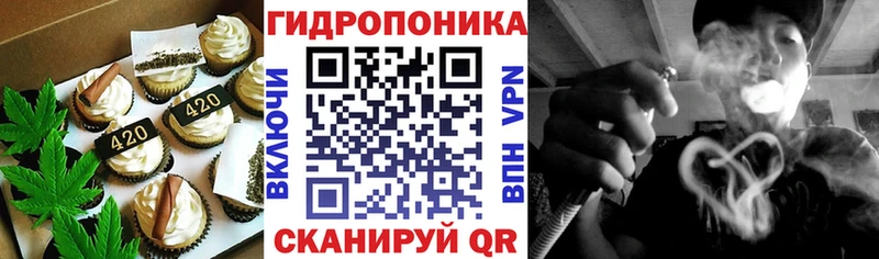ОМГ ОМГ вход  Новоалтайск  Печенье с ТГК конопля  что такое  