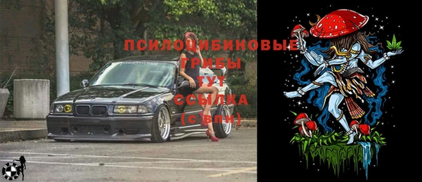 прущие крисы Покачи