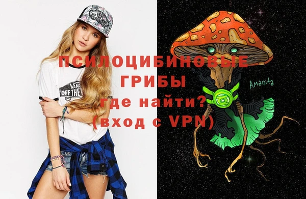 ALPHA-PVP Покров