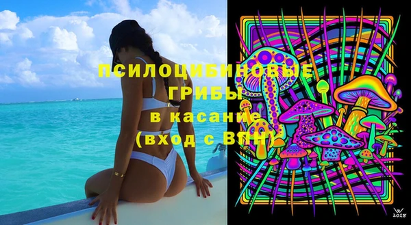мет Алексин