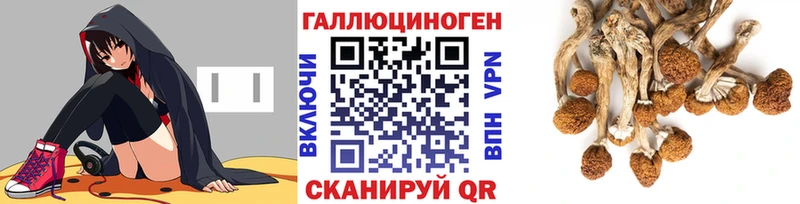 Галлюциногенные грибы Cubensis  сколько стоит  Новоалтайск 